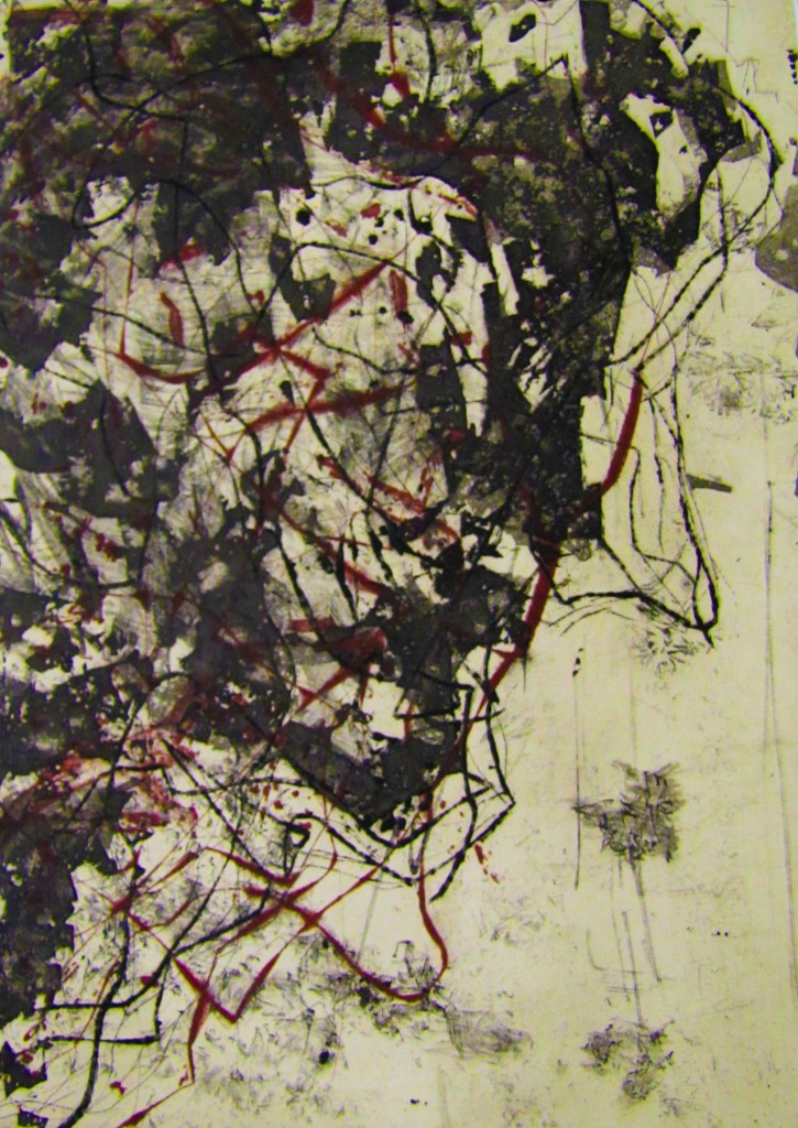 Artist's book includes artist’s book includes, etchings, letterpress, longstitch binding, paste paper and raw silk, 2012